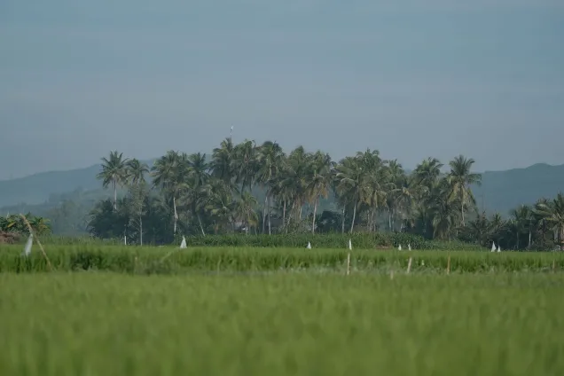 Terrain 600 m² à Kipé
