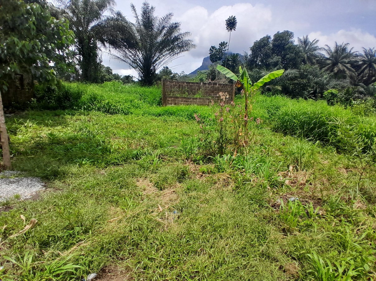 Villa à vendre à Bawa-Gbantama - image 6