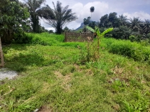 Villa à vendre à Bawa-Gbantama - photo 6