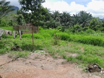 Villa à vendre à Bawa-Gbantama - photo 2